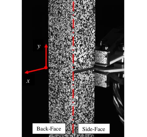 Pre-test photograph showing painted speckle patterns on the back-face ...