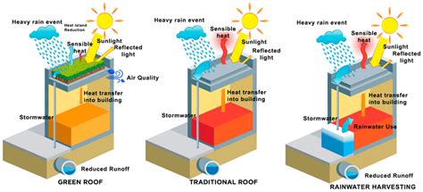 Benefits from green roof and rainwater harvesting system. Adapted from ...