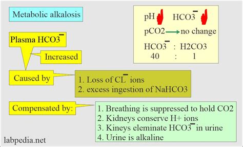 Acid-base Balance:- Part 2 - Metabolic acidosis, and Metabolic ...