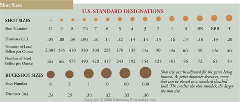 Vintage Outdoors: Shotgun Shell Shot Size Comparison Chart Actual size