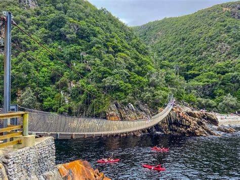 The Suspension Bridge at Tsitsikamma National Park Walk - The Scribs ...