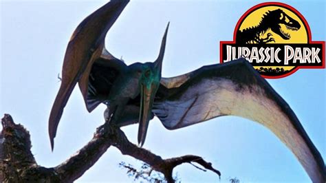 Jurassic Park Builder Pteranodon Jurassic Park Youtube