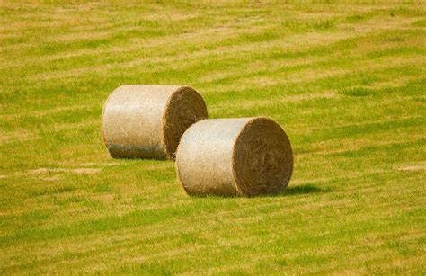 Benefits of Using EM to make Silage – Naturefarm trading as EMNZ