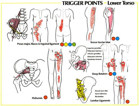 Pin on Chiropractic