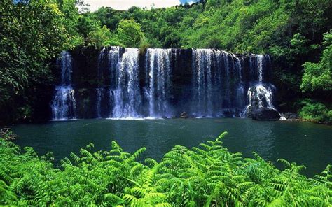 Tropical Waterfall Wallpapers - Wallpaper Cave