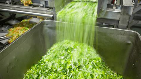 Global Food Processing Machinery Market Size, Drivers, Trends ...