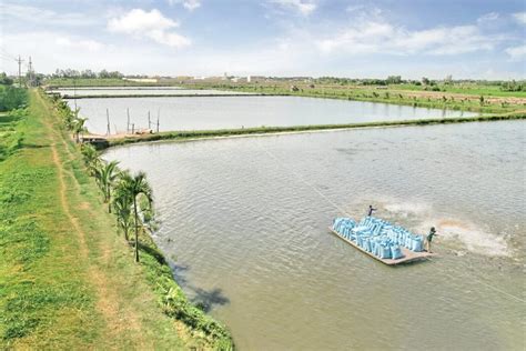 “Experiencing the pangasius farm in the Mekong Delta is such a serene ...