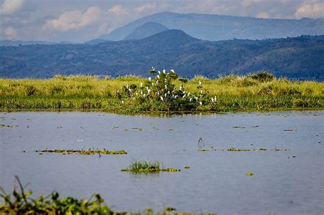 Lake Albert, Africa - WorldAtlas