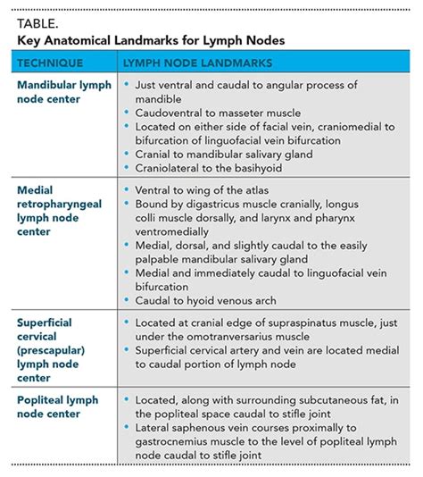 Lymph Node Size Chart - Best Picture Of Chart Anyimage.Org