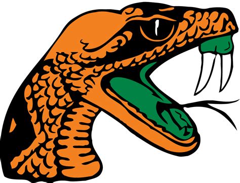 Florida A&M Rattlers Colors Hex, RGB, and CMYK - Team Color Codes