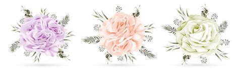 White Roses Vector Art, Icons, and Graphics for Free Download