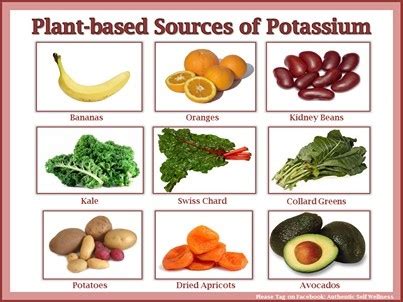 Plant Based Sources of Potassium | Fun Food Facts | Pinterest | Plant ...