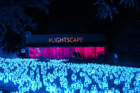 Things to know about Lightscape at San Antonio Botanical Garden