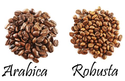 TIPS IN CHOOSING DIFFERENT COFFEE BEAN - Vinbarista.com