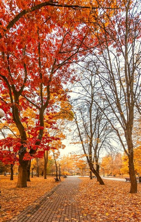 Autumn city park — Stock Photo © beerlogoff2 #56173211