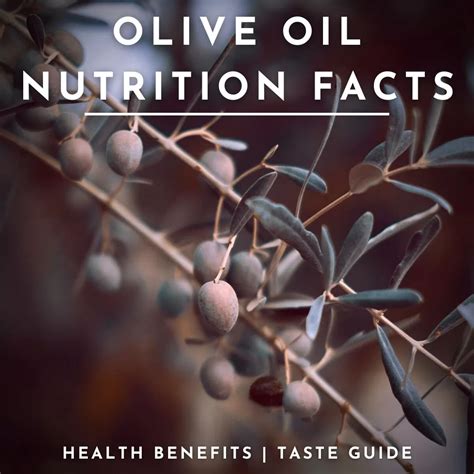 Olive oil nutrition facts and how it can benefit your health