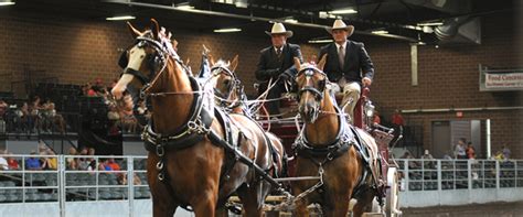 Iowa State Fairgrounds | Livestock Shows