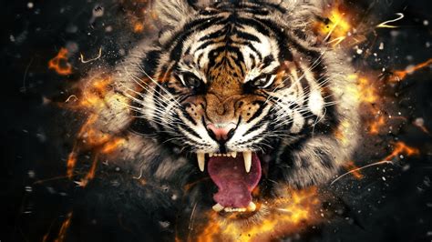 Wallpapers Tiger Hd Group - Tiger Wallpaper 4k - 1920x1080 Wallpaper ...