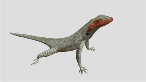 Lava Lizard - Buy Royalty Free 3D model by rmilushev [4c082fe ...