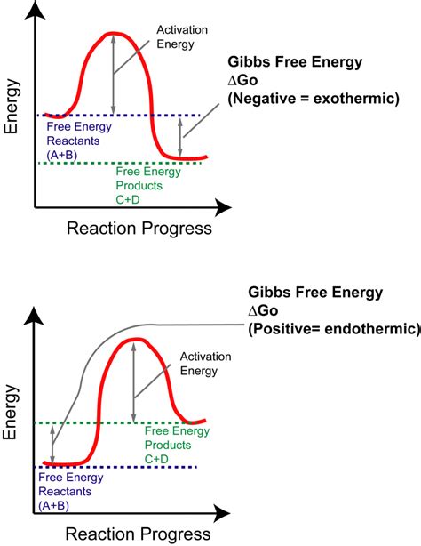 How to Interpret Thermodynamics of Reactions