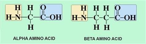 Protein's non-natural alternative | News | Chemistry World