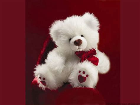 Cute Teddy Bear wallpaper | 1280x960 | #55653