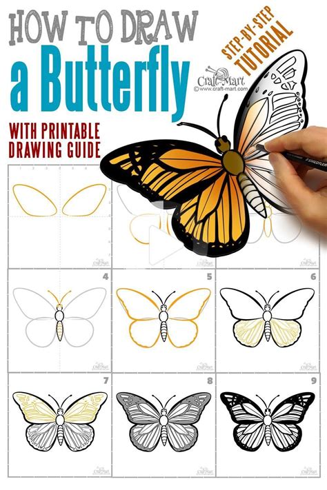 How To Draw A Butterfly Printable - Richard McNary's Coloring Pages