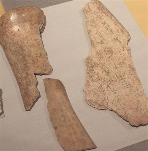 Reading Oracle Bones and Writing the Future in the Shang Dynasty ...