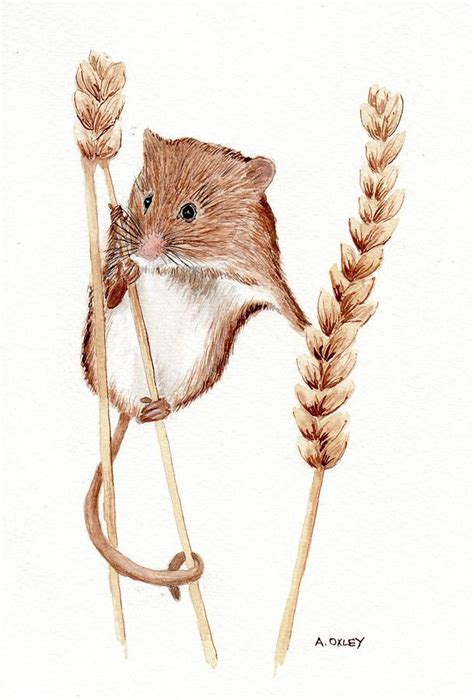 Field Mouse Painting by Anne Oxley - Fine Art America