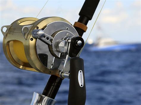 Beginner’s Hand Guide to the 5 Major Types of Fishing Reels