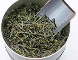 Sencha Green Tea - Health Benefits & Side Effects