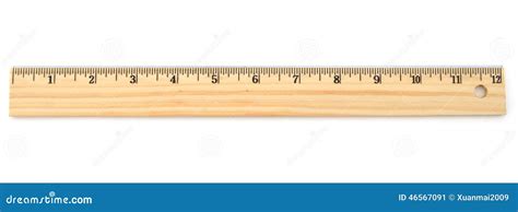 12 inch ruler standard stock image. Image of lifetime - 46567091