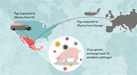 Infographic: How H1N1 Came to Spark a Pandemic in 2009 | TS Digest ...