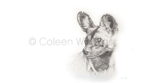 A Sense of Knowing - African Wild Dog (original) | Art by Coleen Williams