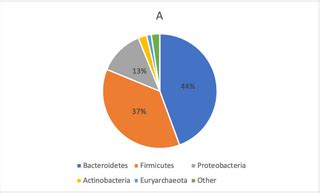 Fibromyalgia-associated hyperalgesia is related to psychopathological ...