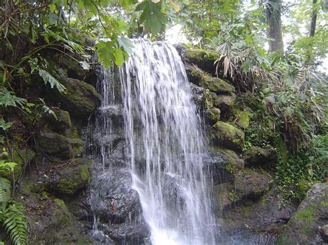 The Rainbow Springs Trail In Florida Has Waterfalls Along The Hike