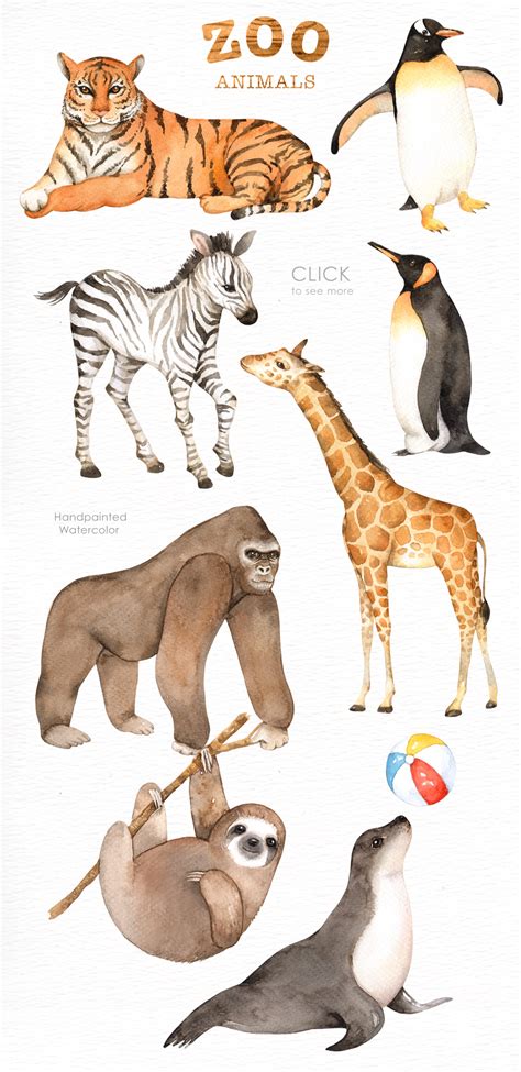 Zoo Animals Watercolor clipart By everysunsun | TheHungryJPEG