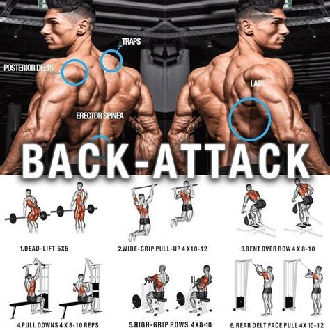 35++ Big back workout gym | dailyabsworkouttips