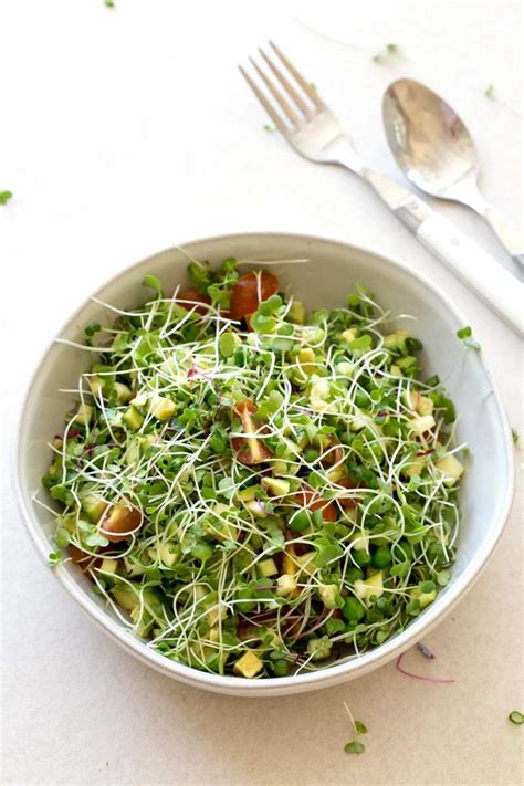 VEGAN MICROGREENS SALAD - ULTIMATE SPRING RESET | GARLIC MATTERS ...