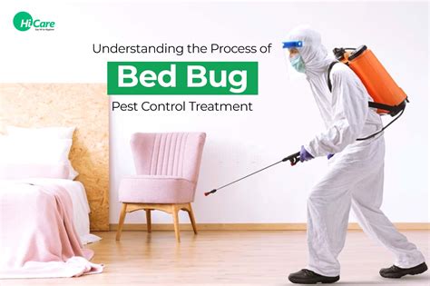 Bed Bug Pest Control: Understanding the Treatment Process | HiCare