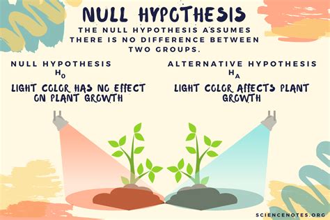 Null Hypothesis Examples