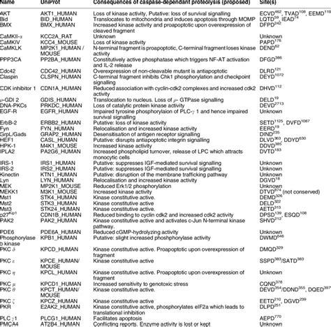 Caspase substrates: kinases and signalling intermediaries | Download Table