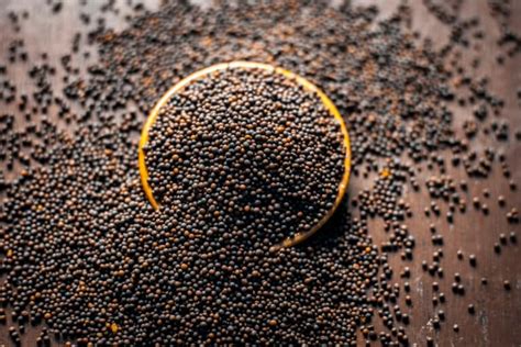 Brown Mustard Seeds: Mustard With A Little Heat