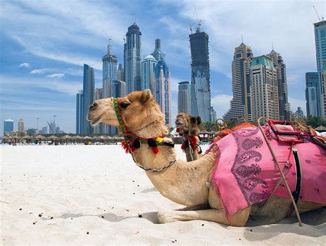 Top 12 Tourist Attractions In United Arab Emirates | Most beautiful ...