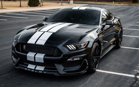 Black Mustang Colors - The Ultimate Guide