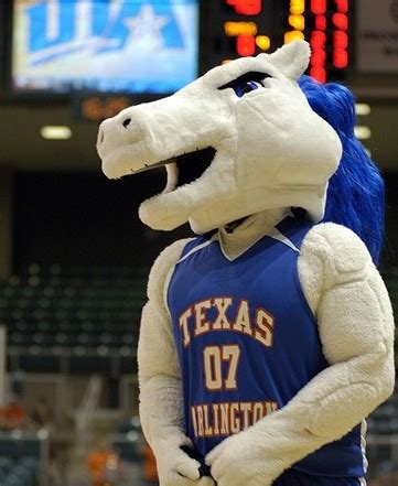 University of Texas Mascots - Ranked by Marc — Is This a Thing?