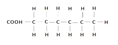 Types of Fat: A Complete Guide To Fatty Acids | Nutrition Advance