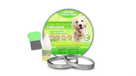 11 Best Flea Collar For Dogs: Top Picks For 2023 | Alpha Paw