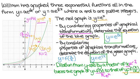 Transformation Of Exponential Functions Worksheet - slidesharetrick