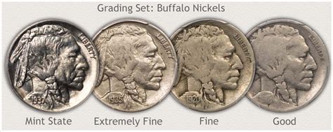 Buffalo Nickel Value | Discover Their Worth